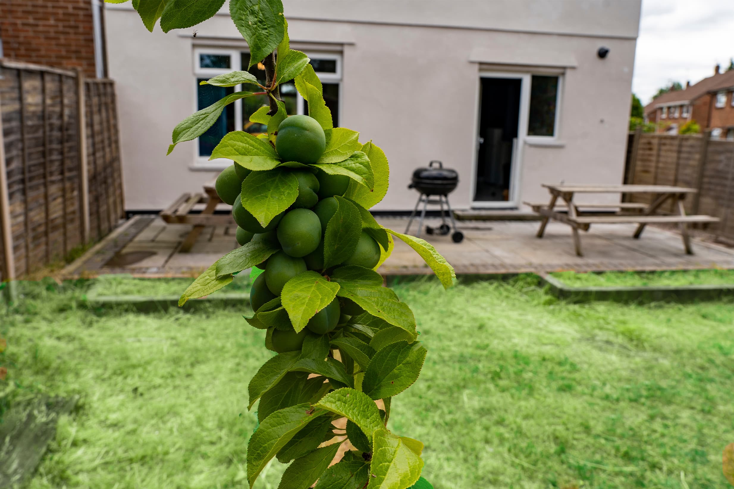 Spacious Luxury Garden House Free Parking (4)